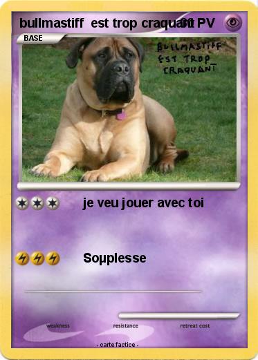 Pokemon bullmastiff  est trop craquant