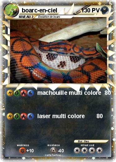 Pokemon boarc-en-ciel