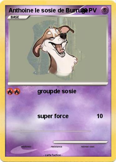 Pokemon Anthoine le sosie de Burruge