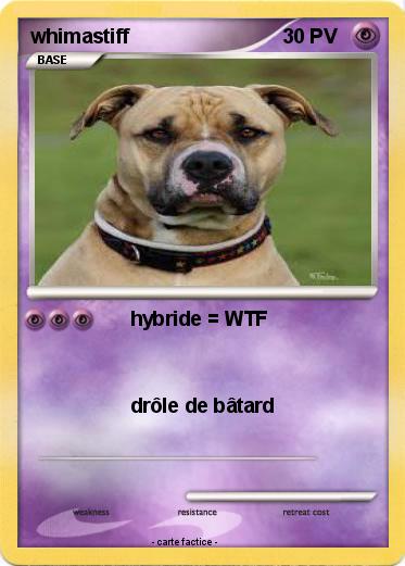 Pokemon whimastiff