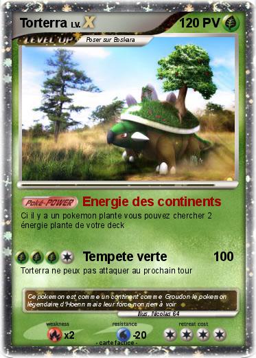 Pokemon Torterra