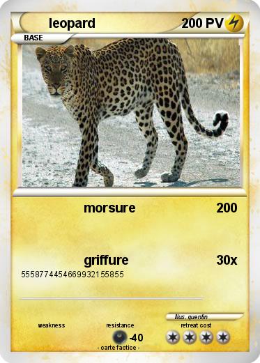 Pokemon leopard