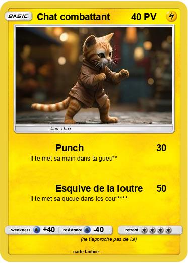 Pokemon Chat combattant