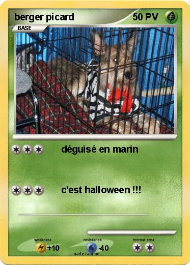 Pokemon berger picard