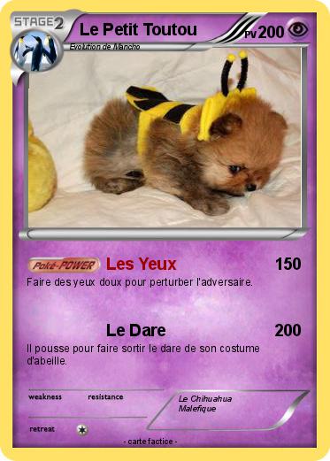 Pokemon Le Petit Toutou