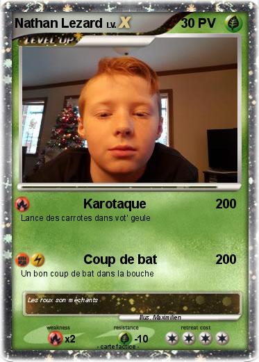 Pokemon Nathan Lezard