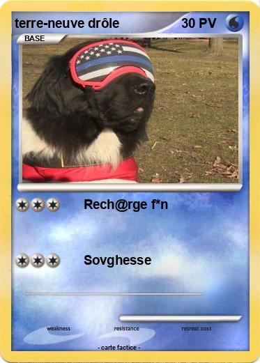 Pokemon terre-neuve drôle