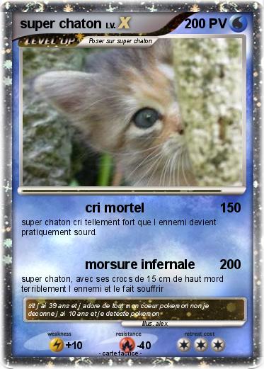 Pokemon super chaton
