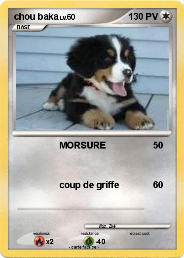 Pokemon chou baka
