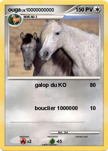 Pokemon ouga