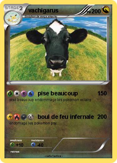 Pokemon vachigarus