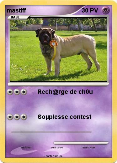 Pokemon mastiff