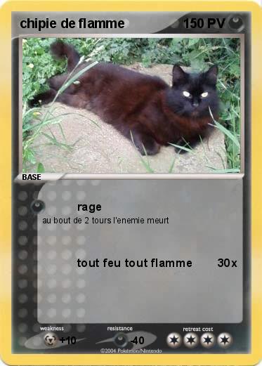 Pokemon chipie de flamme