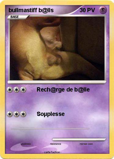 Pokemon bullmastiff b@lls