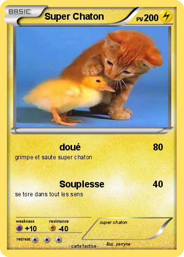 Pokemon Super Chaton