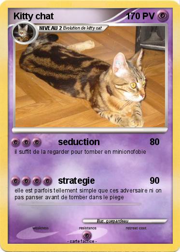 Pokemon Kitty chat