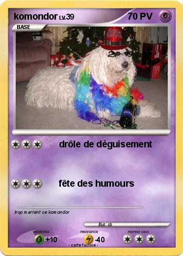 Pokemon komondor