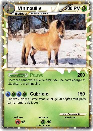 Pokemon Mininouille
