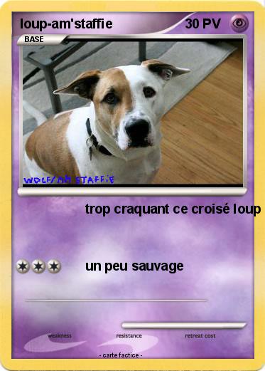 Pokemon loup-am'staffie