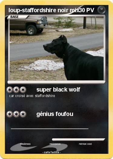 Pokemon loup-staffordshire noir mix