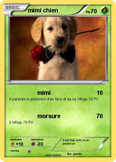 Pokemon mimi chien