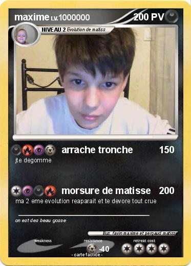 Pokemon maxime