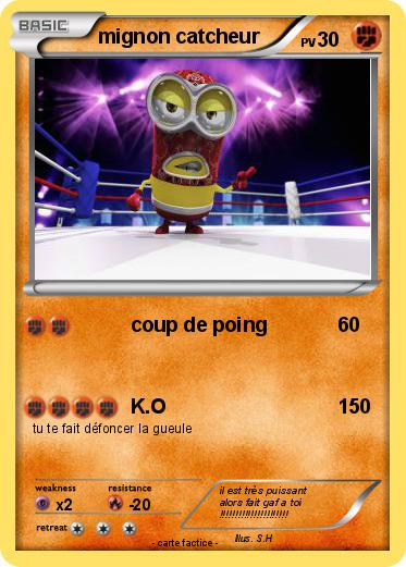 Pokemon mignon catcheur