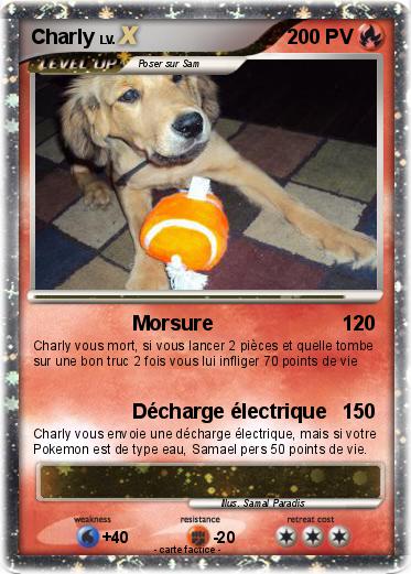 Pokemon Charly