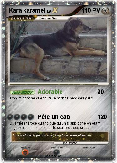 Pokemon Kara karamel