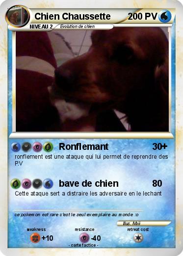 Pokemon Chien Chaussette