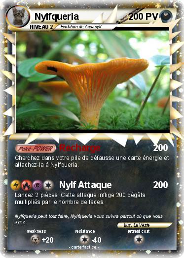 Pokemon Nylfqueria