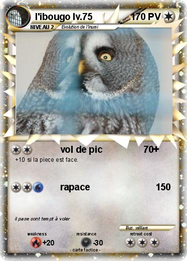 Pokemon l'ibougo lv.75