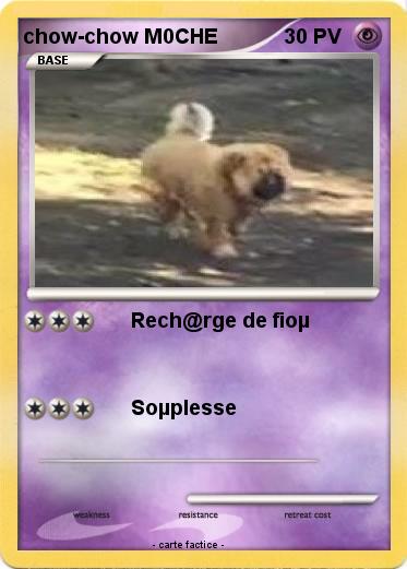 Pokemon chow-chow M0CHE