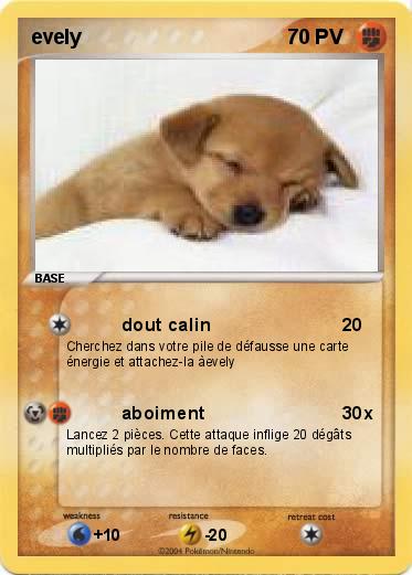 Pokemon evely
