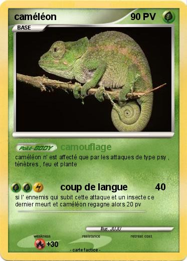 Pokemon caméléon