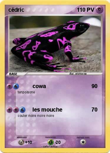Pokemon cédric