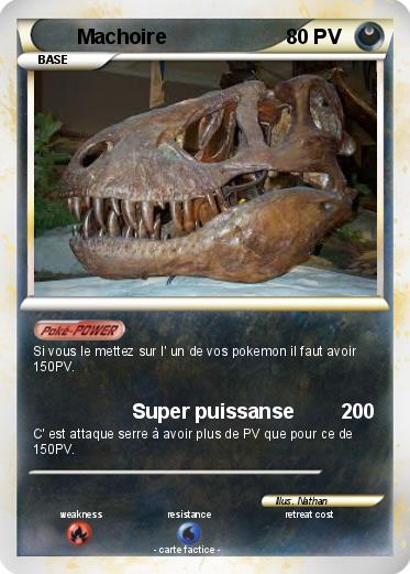 Pokemon Machoire