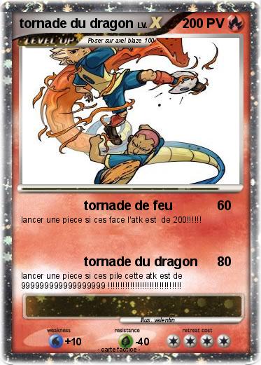 Pokemon tornade du dragon