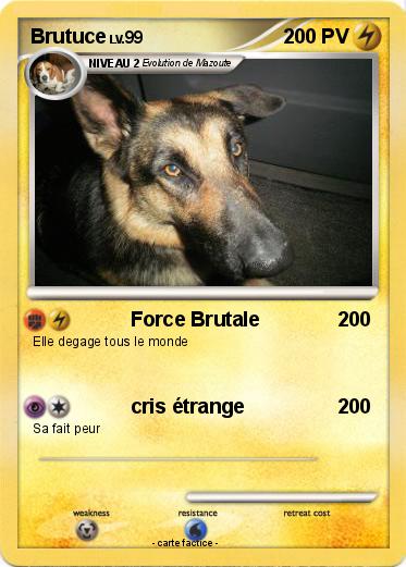 Pokemon Brutuce