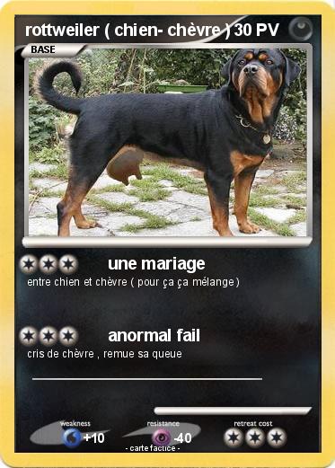 Pokemon rottweiler ( chien- chèvre )