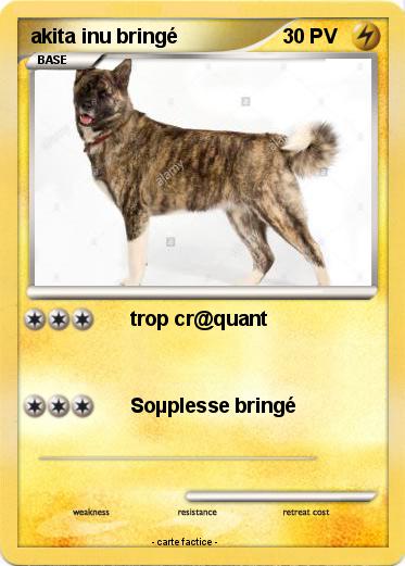 Pokemon akita inu bringé