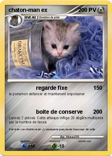 Pokemon chaton-man ex