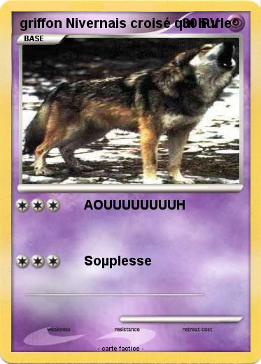 Pokemon griffon Nivernais croisé qui hurle