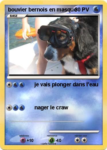 Pokemon bouvier bernois en masque