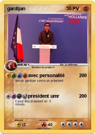 Pokemon gardijan