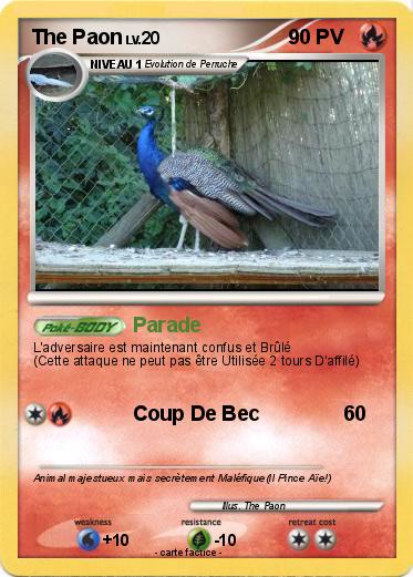 Pokemon The Paon