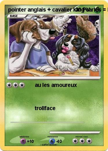 Pokemon pointer anglais + cavalier king carles = love