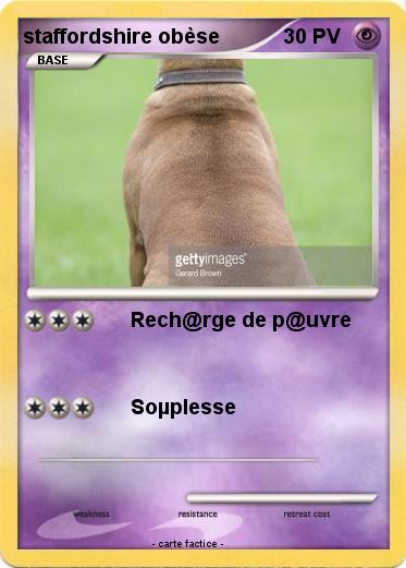 Pokemon staffordshire obèse