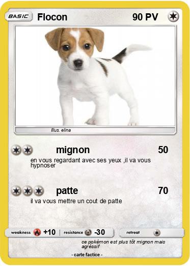 Pokemon Flocon