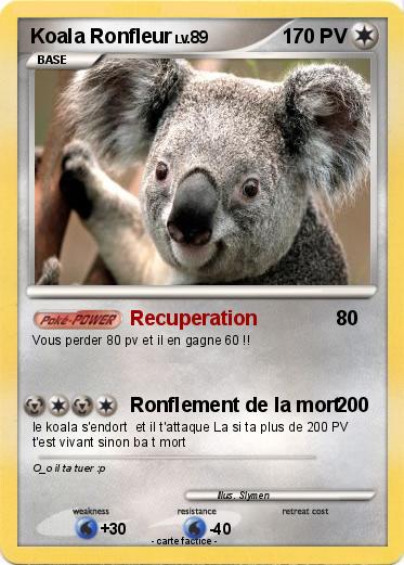 Pokemon Koala Ronfleur